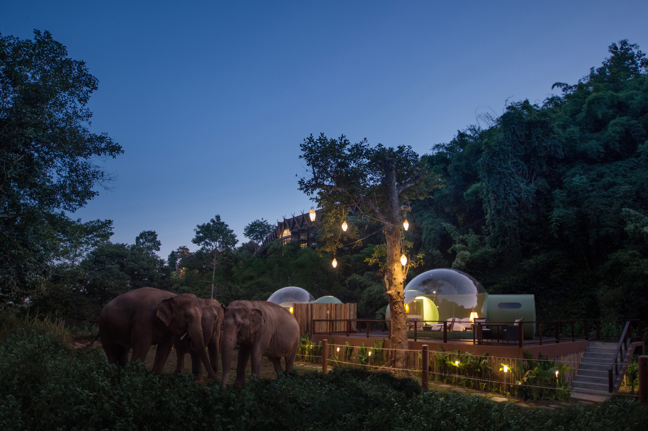 comunidadmundo-article-anantara-2